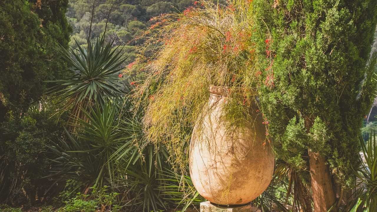 Antique French terra cotta and clay garden planters and urns