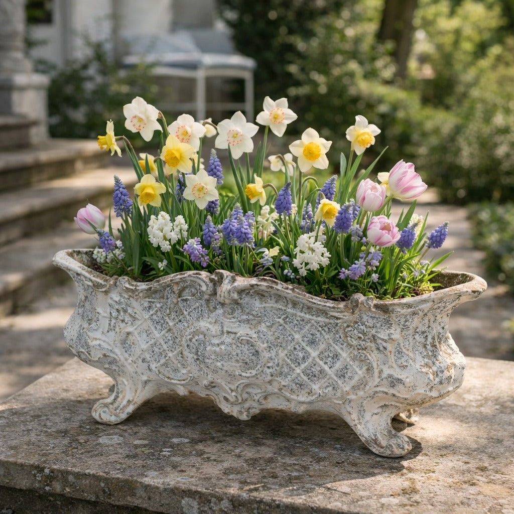 Small Antique French Pots & Jardinieres