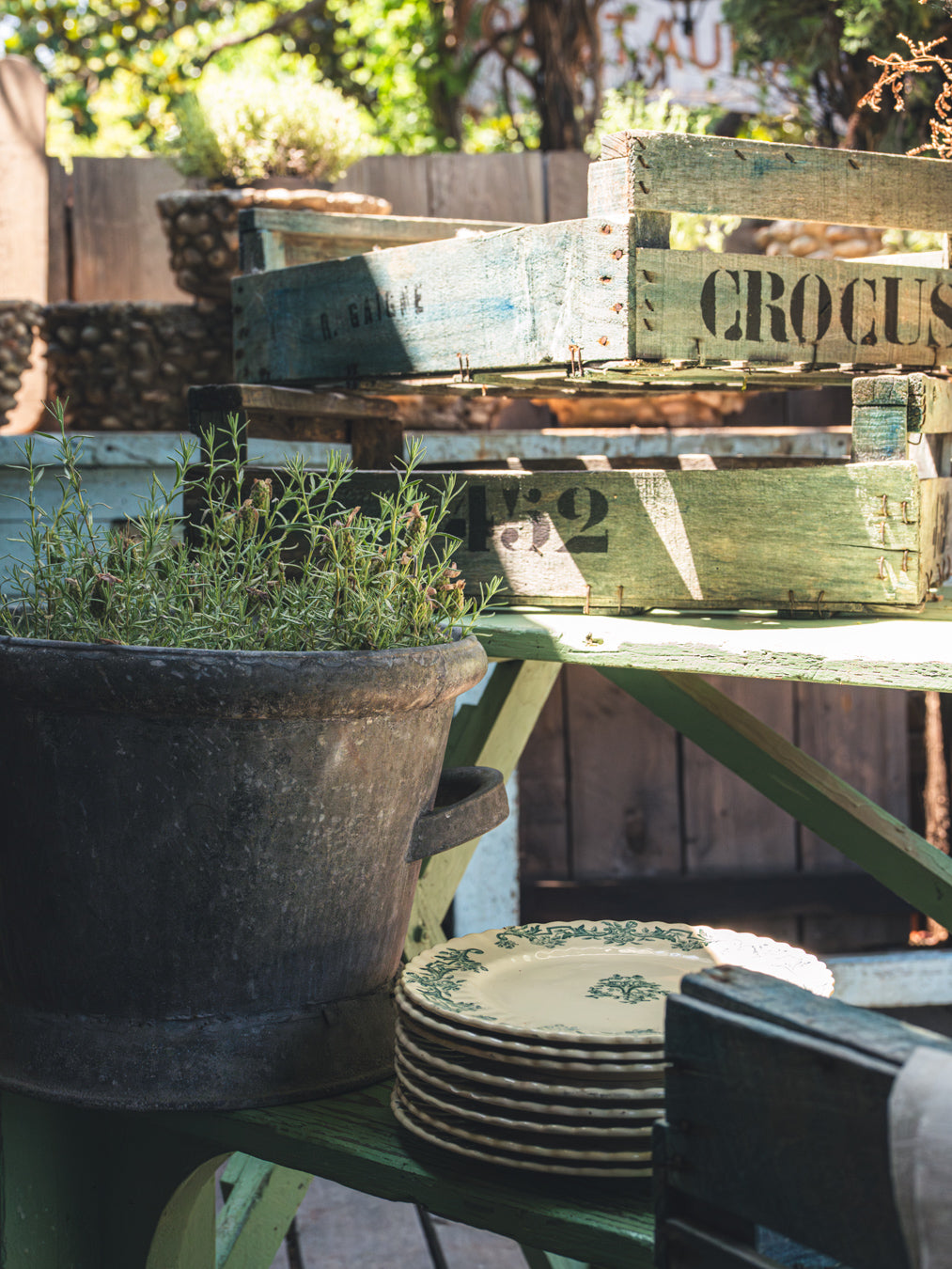 Vintage French ironstone collection