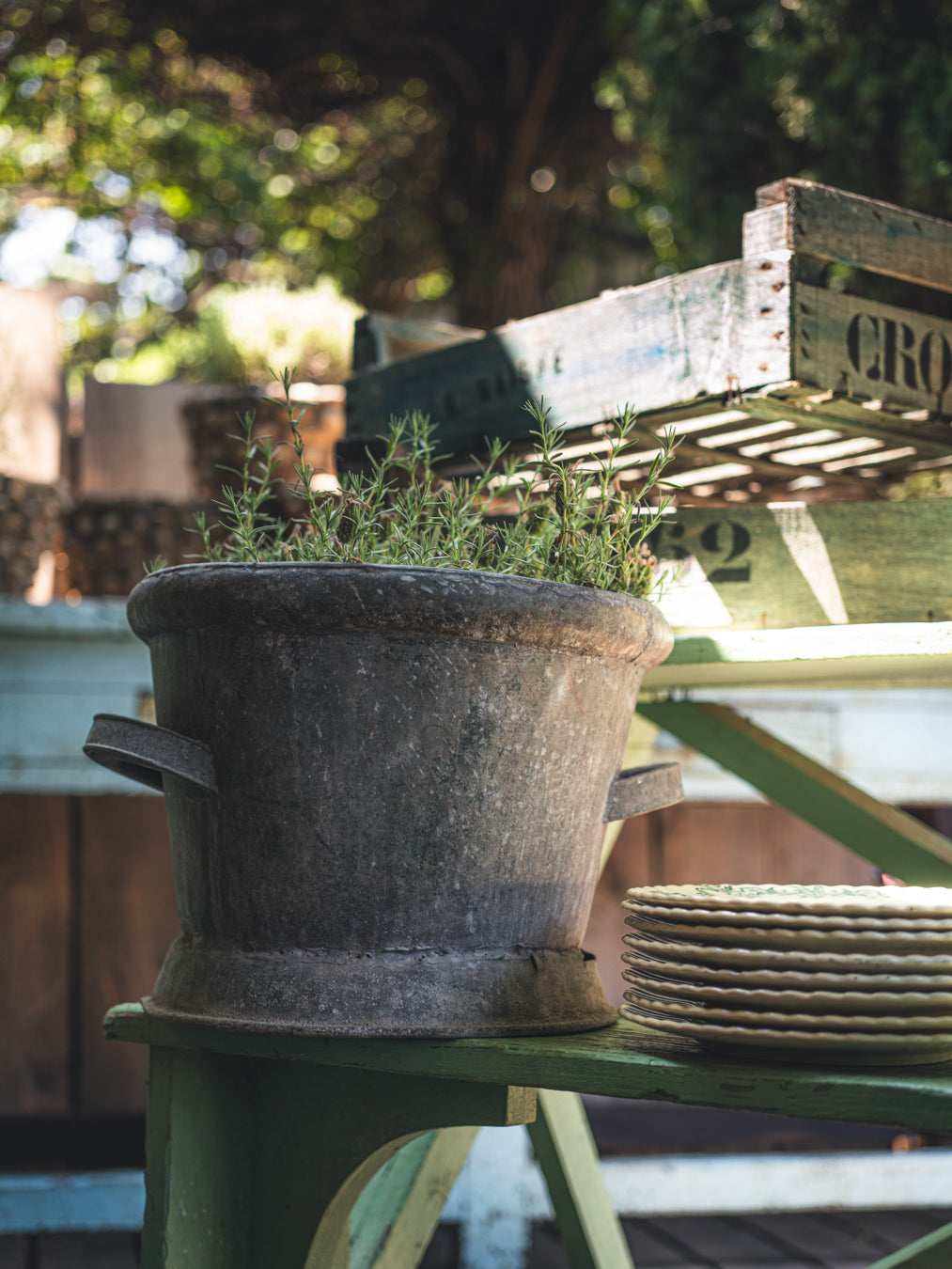 Early 20th-Century French Rustic Zinc Cachepot - 11½"