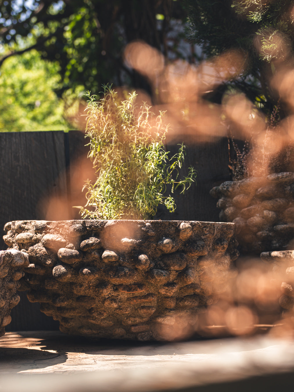 Rustic French cement planter  