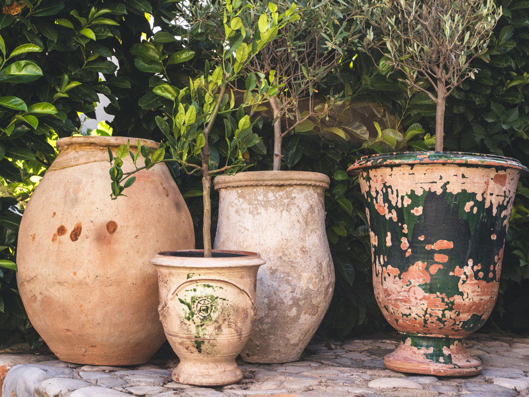 Exceptional Early 19th-Century Anduze Terracotta Planter w/ Green Patina 24"