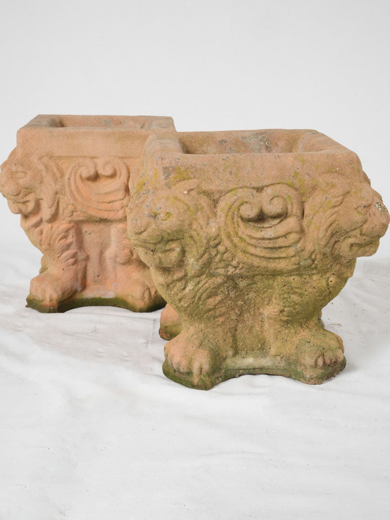Mythical, vintage winged lion concrete planter