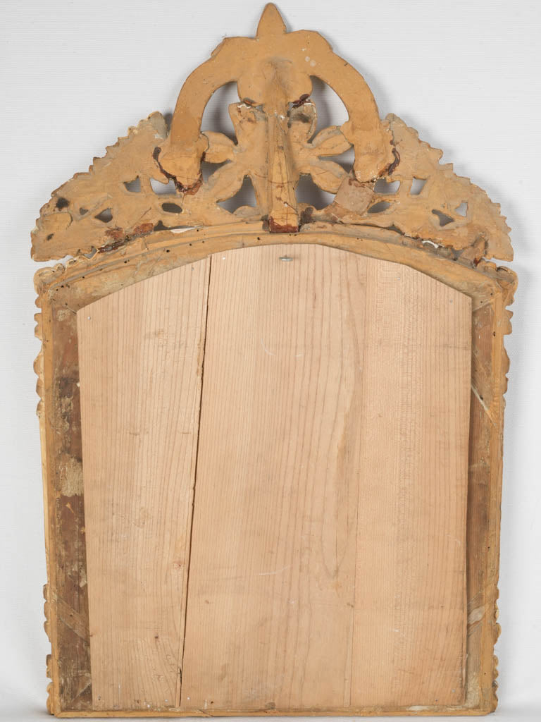 Luxurious French parclose gilt mirror