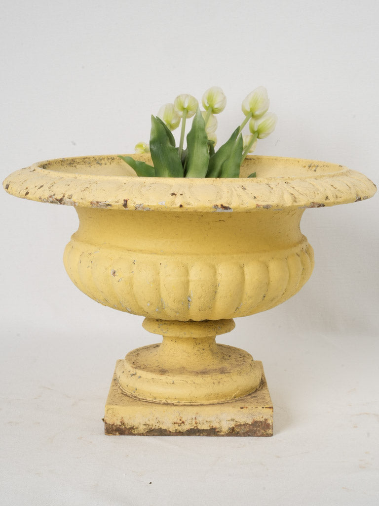 Classic Medici-shaped iron planter