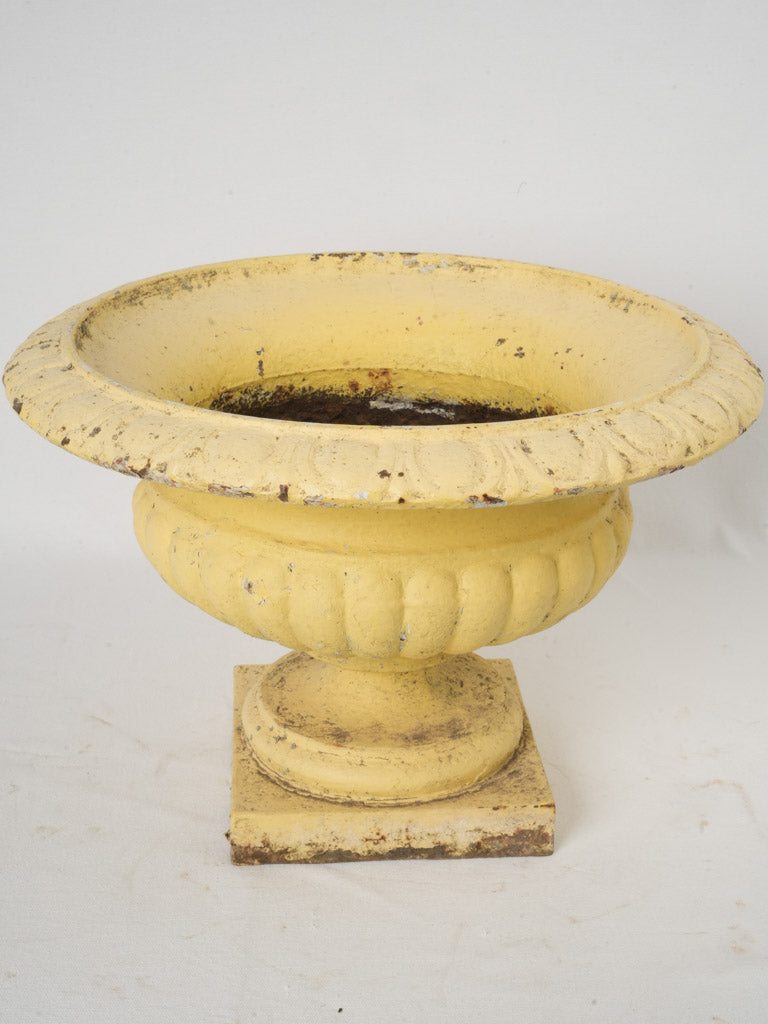 Radiant yellow antique garden planter