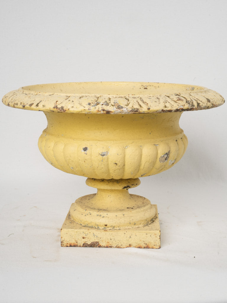 Vintage sunny-hued garden pot