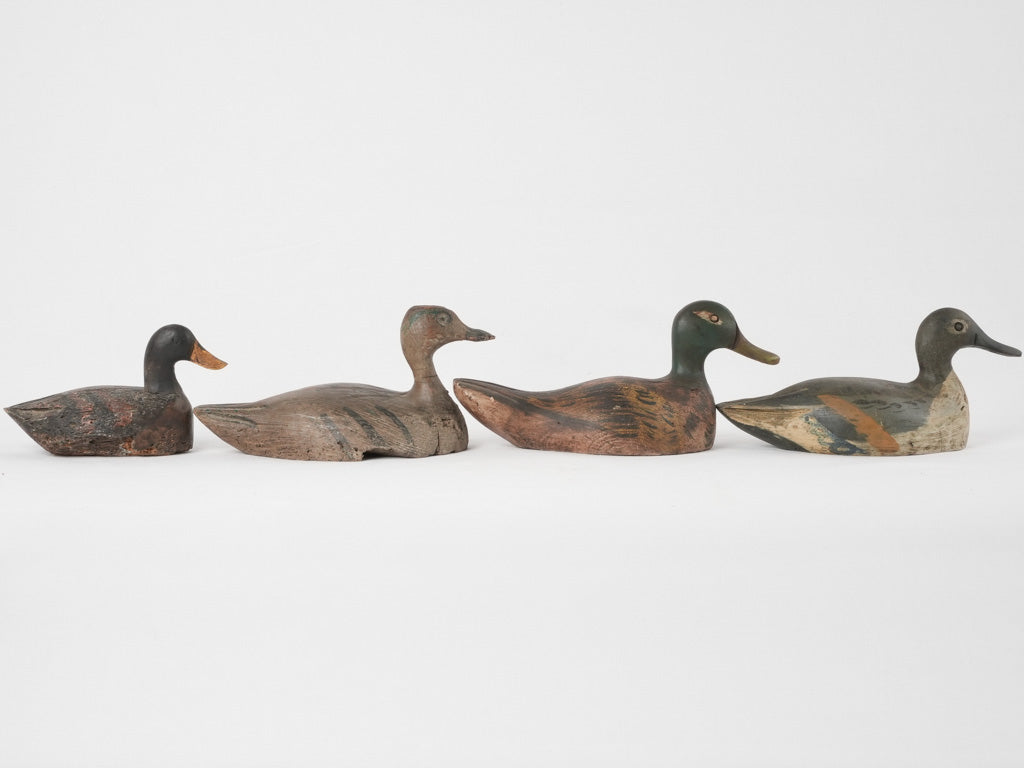 Nostalgic early-century duck decoys