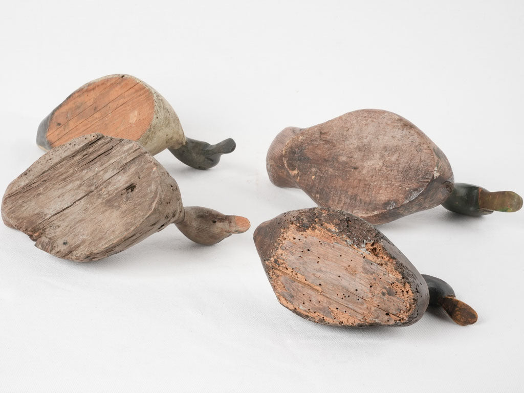 Collectible artisan-crafted decoy ducks