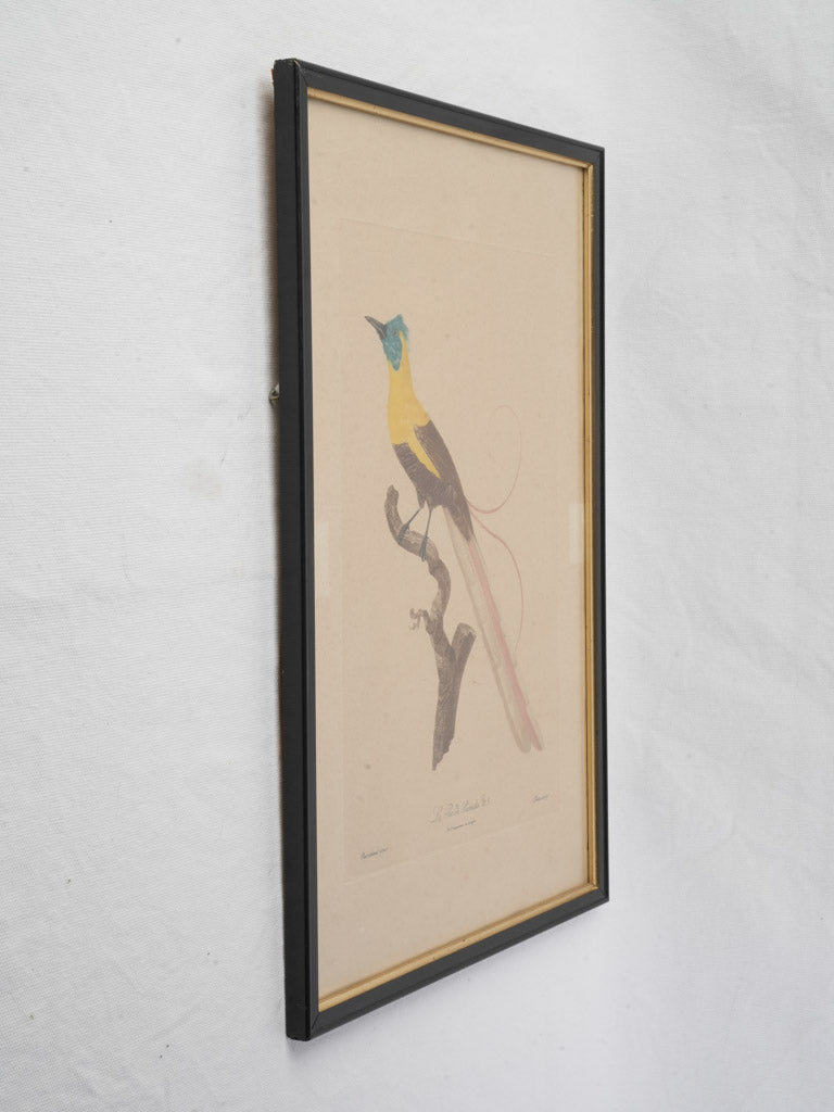 Multi-colored framed decorative print