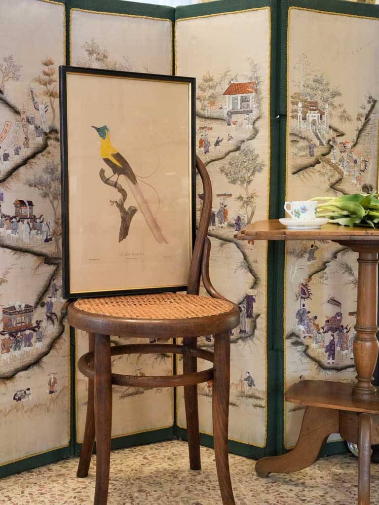 Scholarly collectible Barraband masterpiece