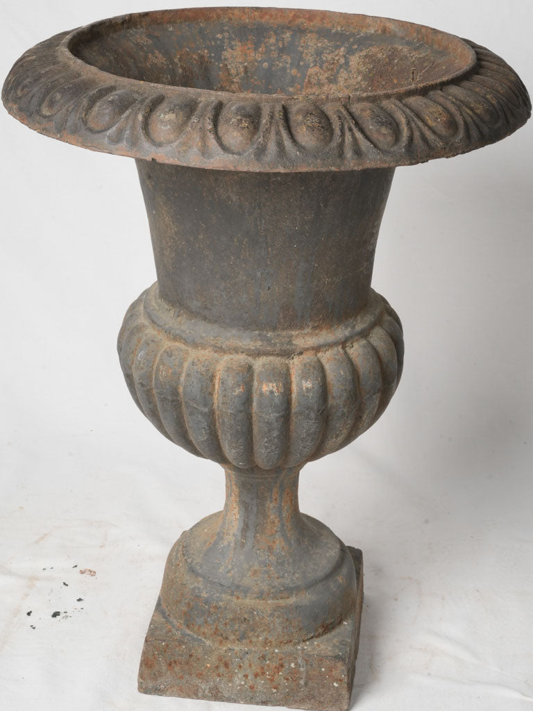 Classic gadrooned body planter  