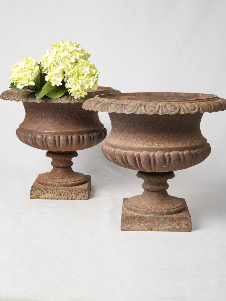 Late 19th-Century Cast Iron Medicis Planters w/ Rust Patina - 17¾"