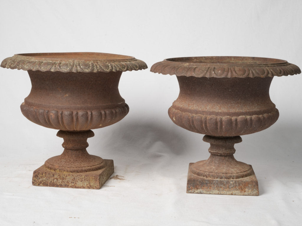 Charming antique Medicis planters