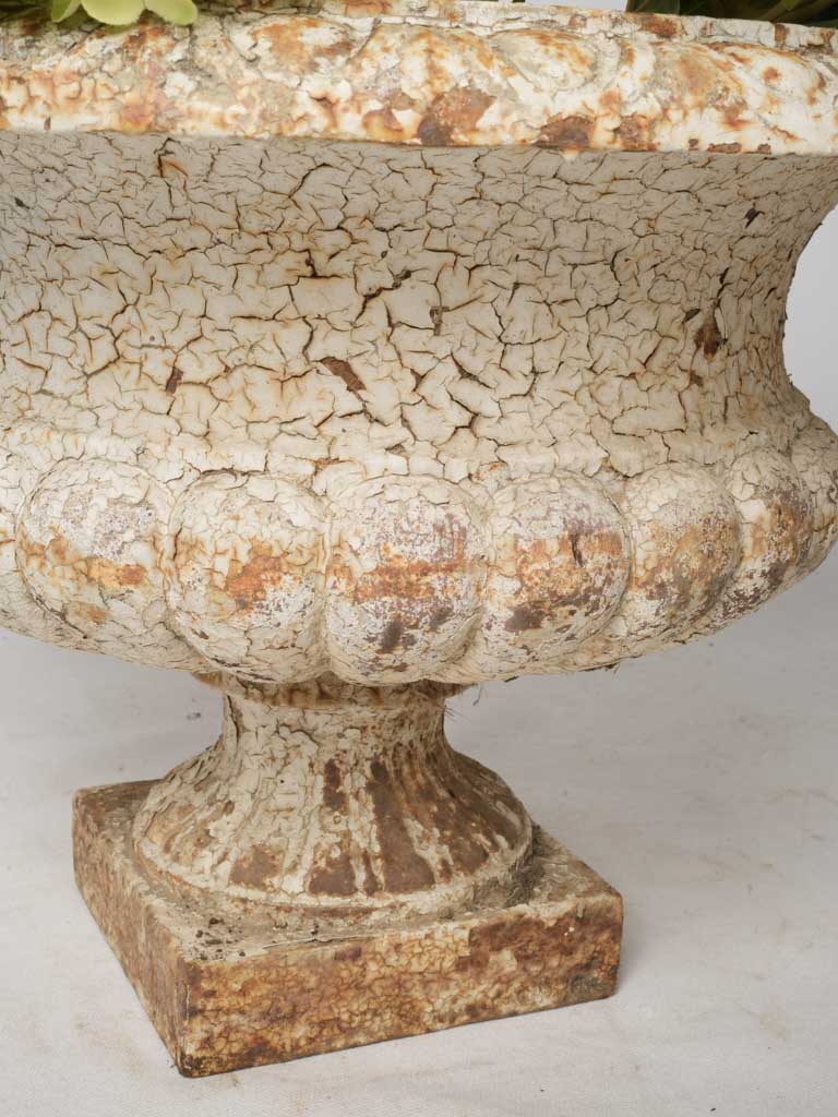 Historic cast iron garden planters