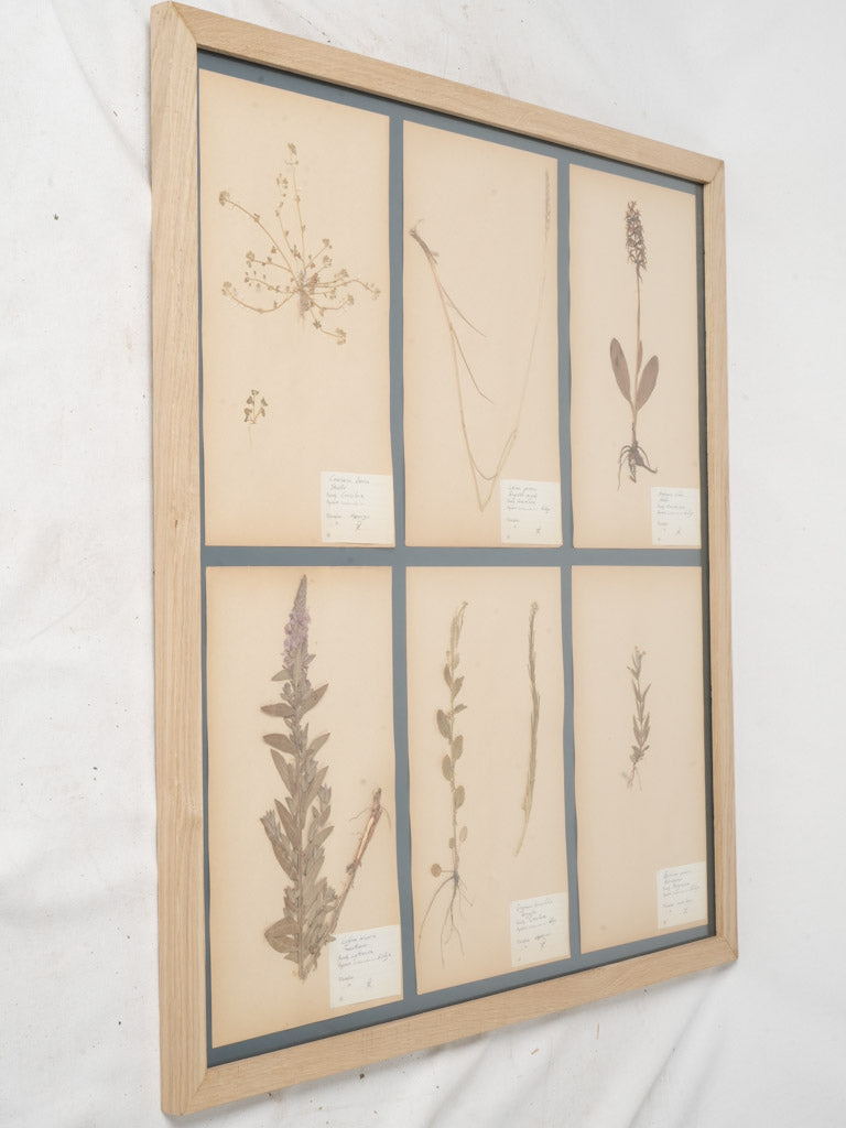 Charming rustic oak art frame