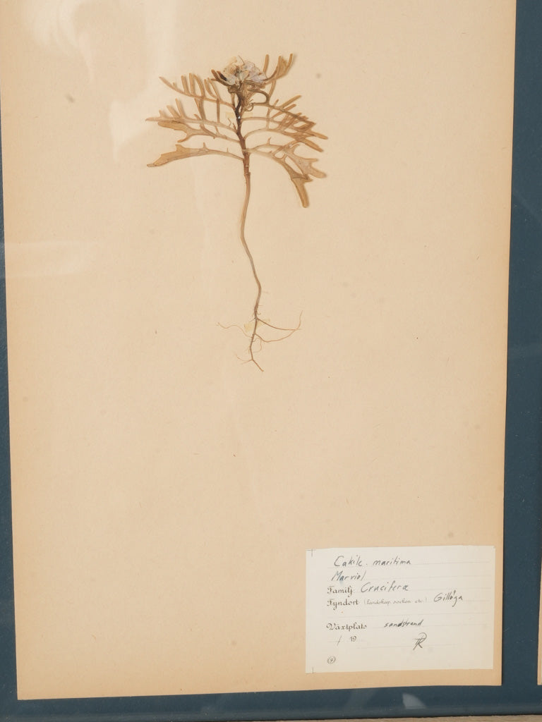 Preserved Foliage Wall Hanging