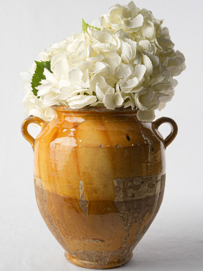 Rustic antique mustard glazed pot