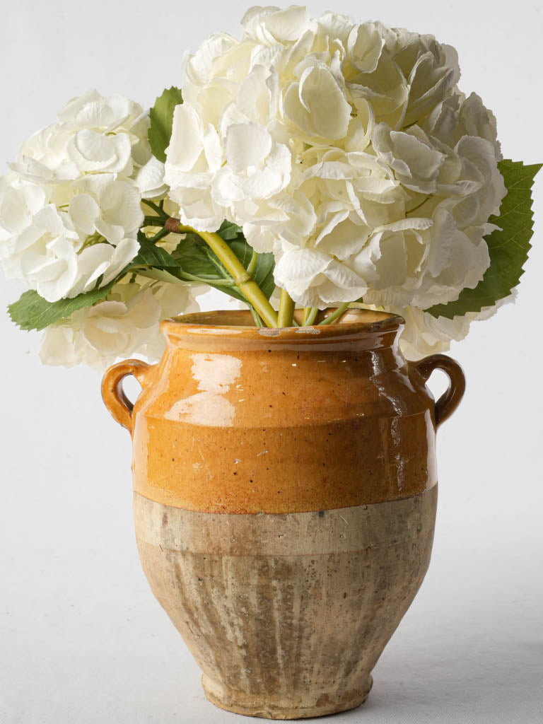 Charming rustic terracotta confit pot
