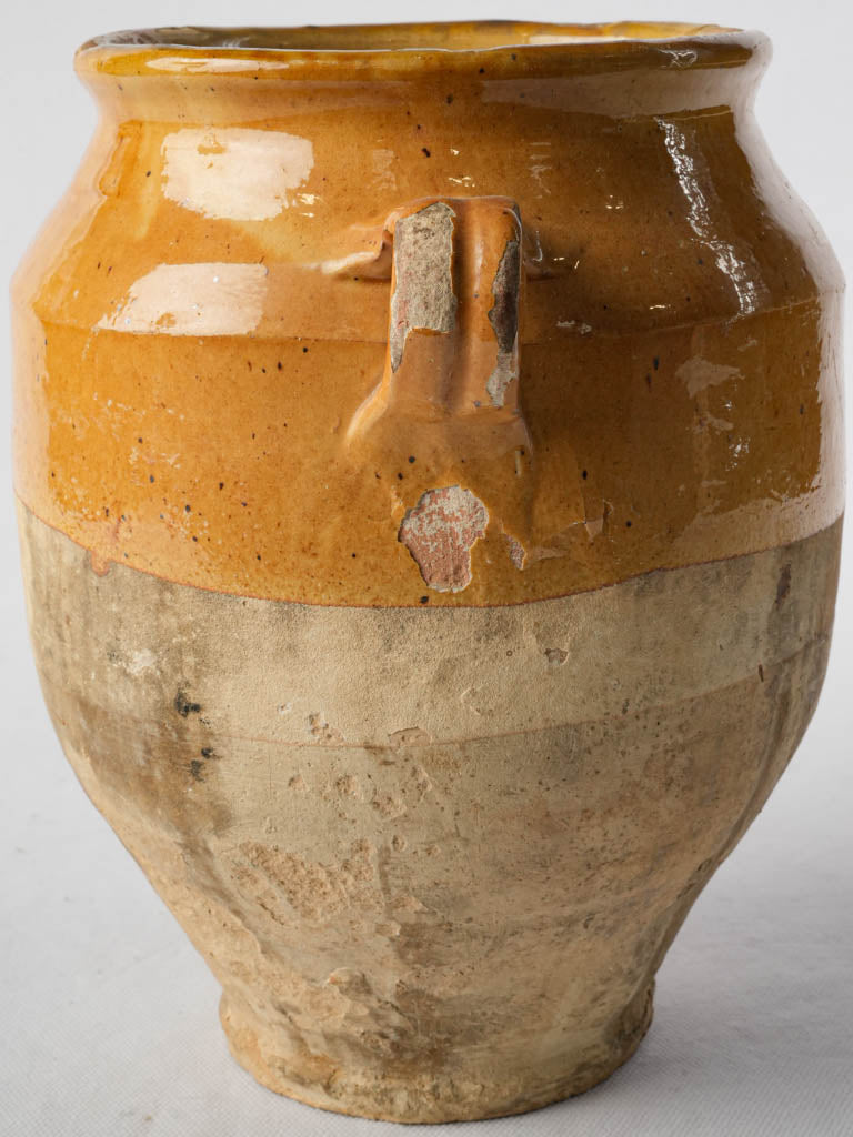 Traditional French countryside terracotta pot