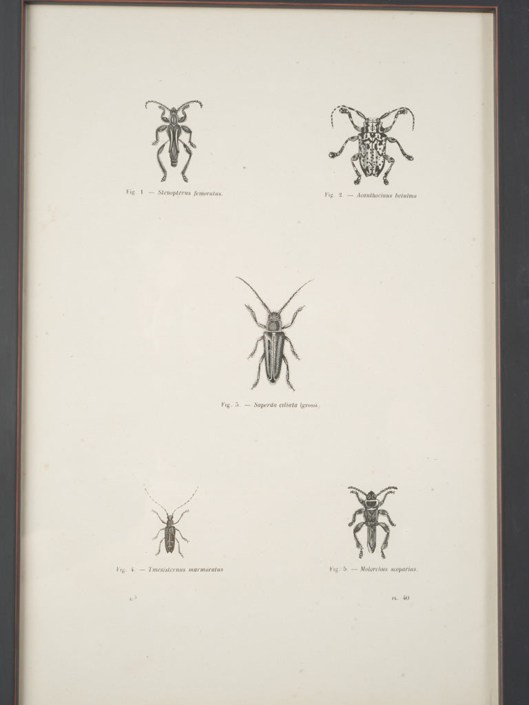 Monochromatic linework art prints