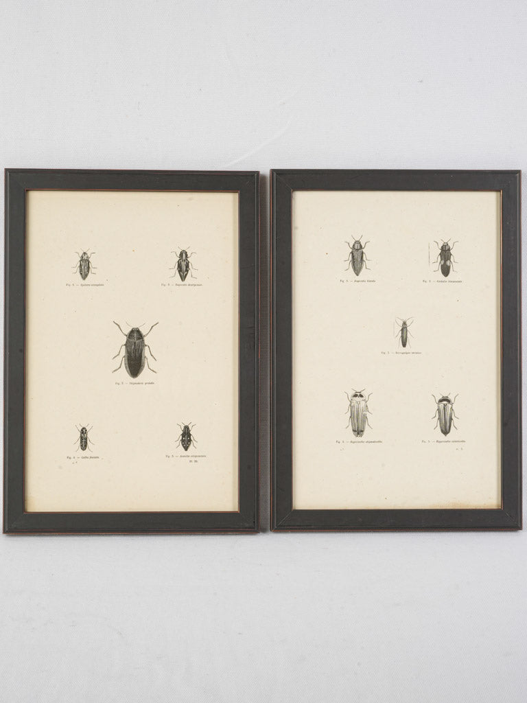 Elegant monochrome artwork pieces