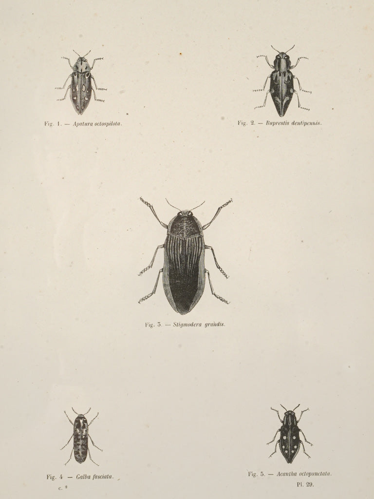 Timeless decor art prints