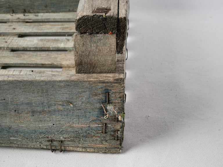 Early 20th-century crocus bulb crate