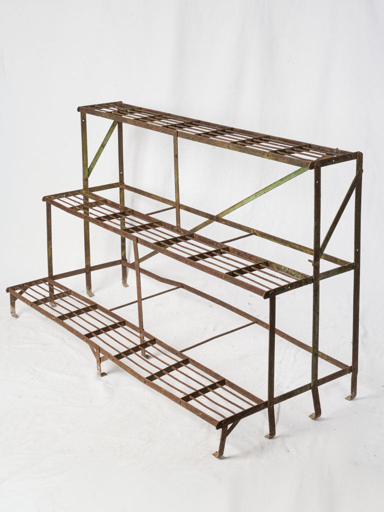 plant rack metal design Late 19th to Early 20th Century French Three-Tier Wrought Iron Plant S