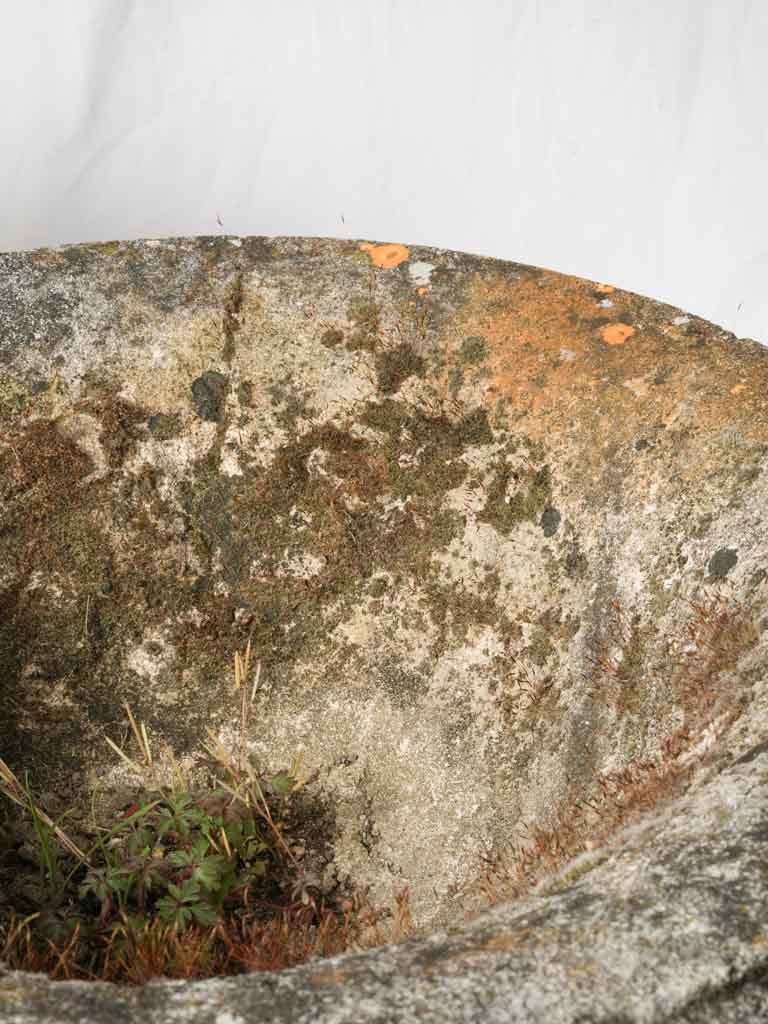 Decorative antique-style urns