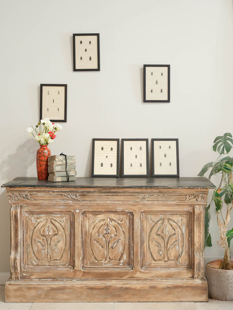 Detailed entomological prints set