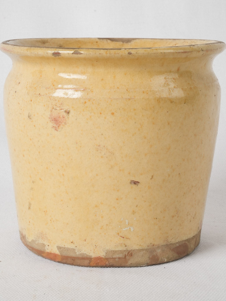 Charming sunny yellow French antique pot