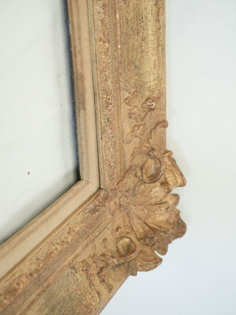 Intricate scrollwork border frame