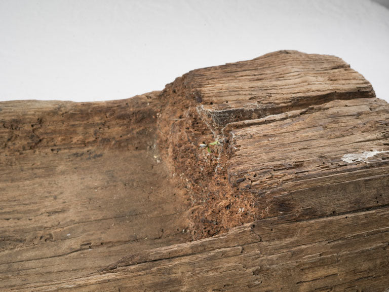 Rough-hewn decorative French trough  