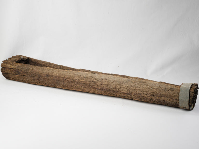 Richly textured 19th-century trough