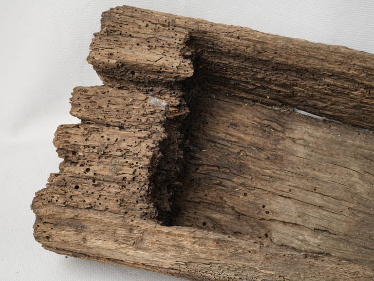 Organic weathered elegant herb holder