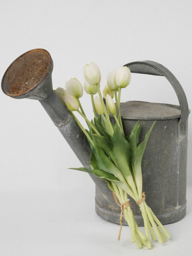 Aged, Charming, French, Zinc Watering Can