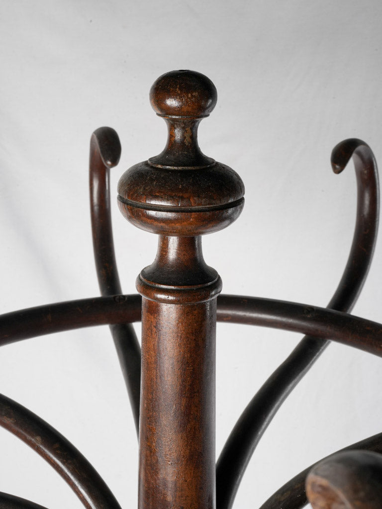 Sinuous curves bentwood coat rack