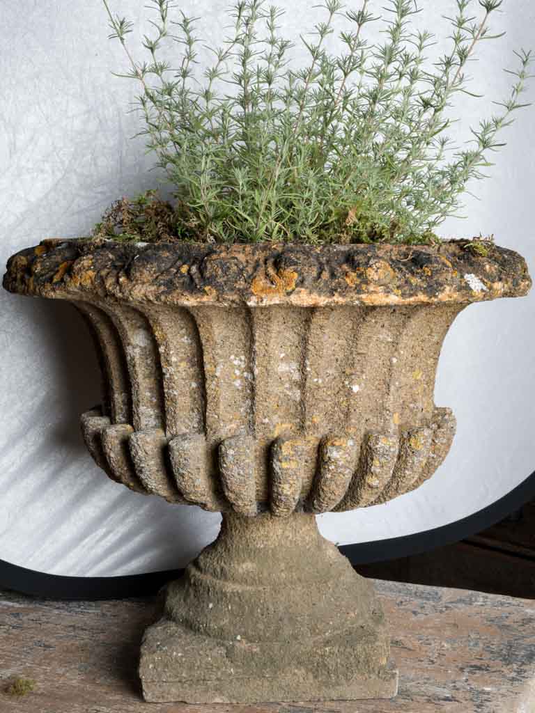 Pair of Late 19th Century French Cement Medici Urns w/ Striking Lichen Patina - 17¾"