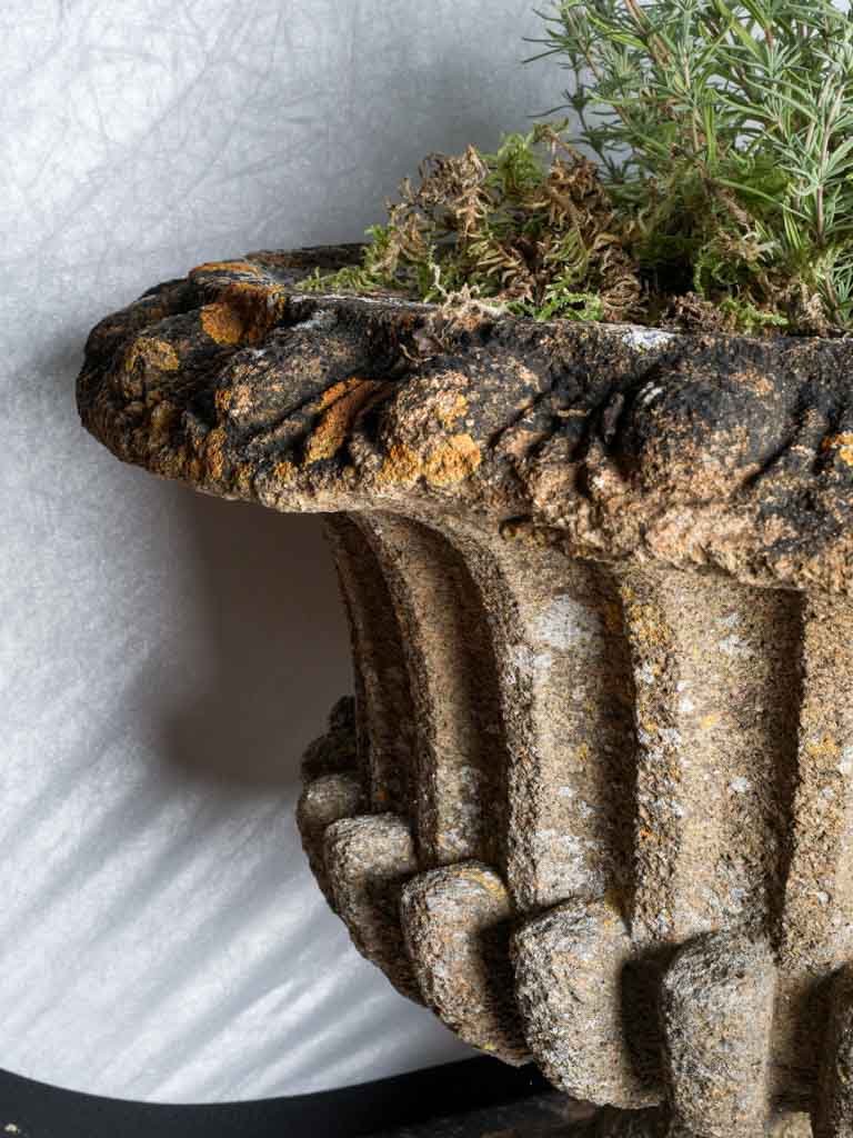 Pair of Late 19th Century French Cement Medici Urns w/ Striking Lichen Patina - 17¾"