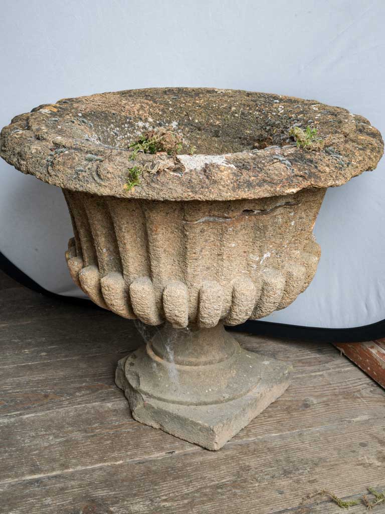 Pair of Late 19th Century French Cement Medici Urns w/ Striking Lichen Patina - 17¾"