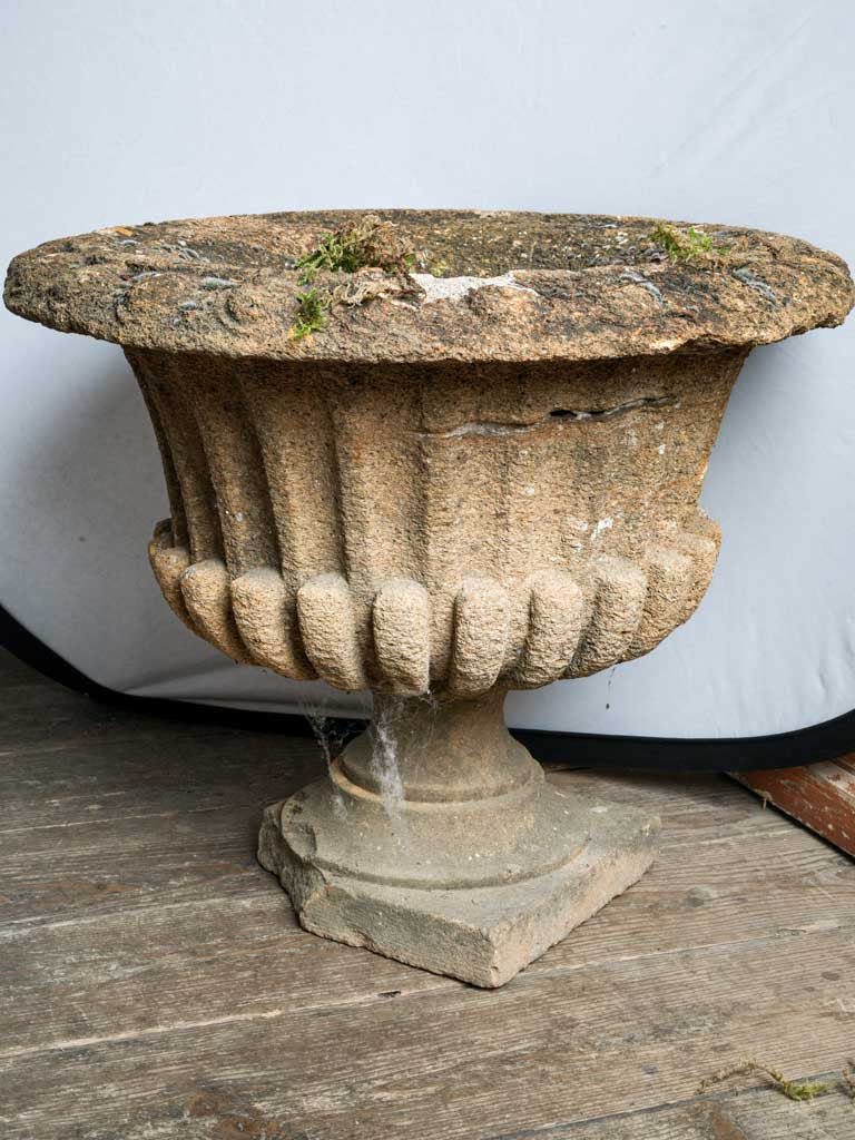 Pair of Late 19th Century French Cement Medici Urns w/ Striking Lichen Patina - 17¾"