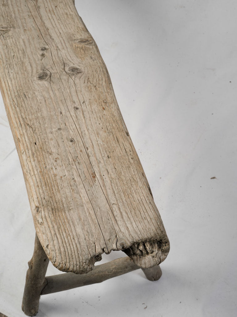 Natural texture driftwood piece