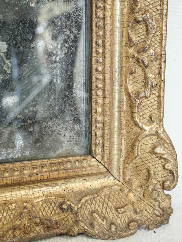 Lavish gold-toned mirror