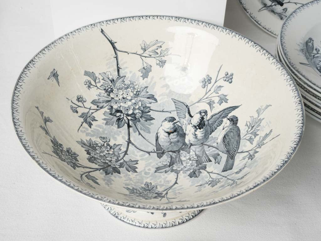 Expressive butterfly design dishes