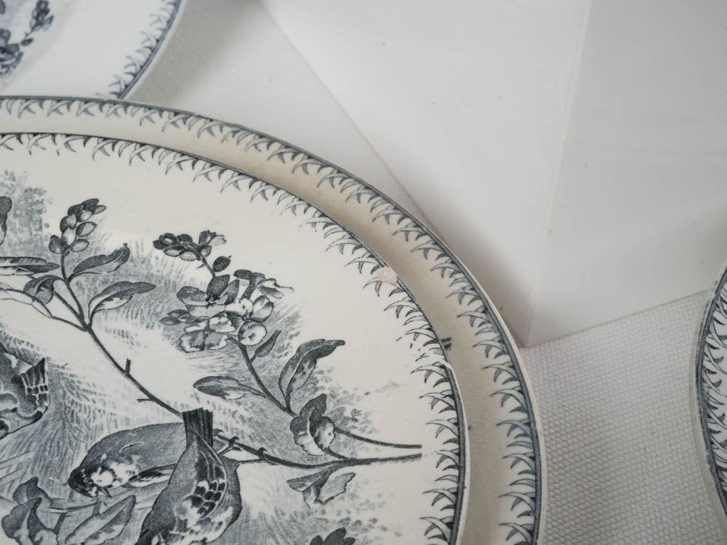 Distinctive blue-on-ivory crockery