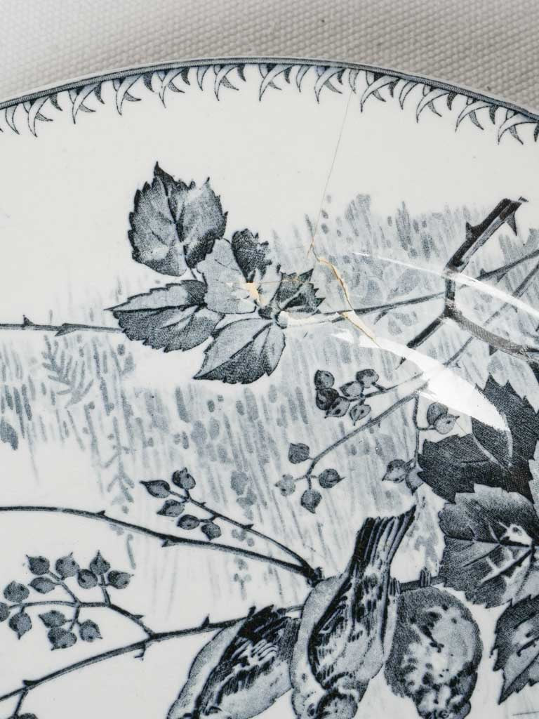 Artful transfer printed dishes
