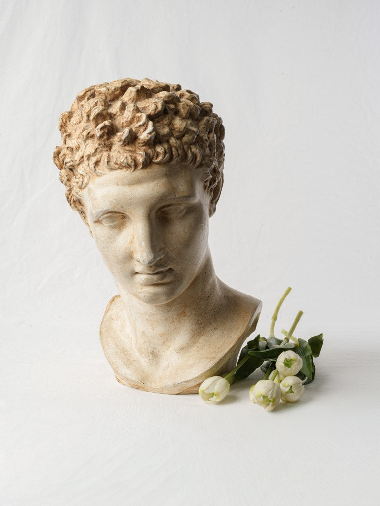 Serene timeless plaster bust