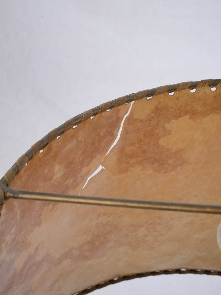 Coastal style ceramic parrot lights