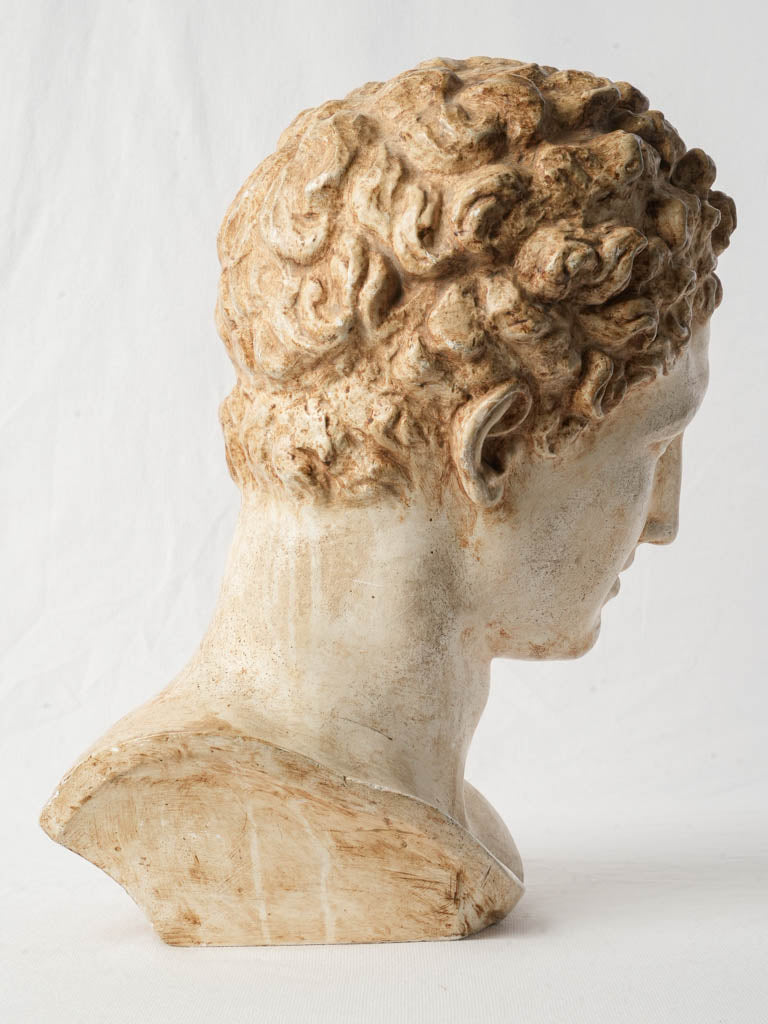 Graceful plasterwork classical bust